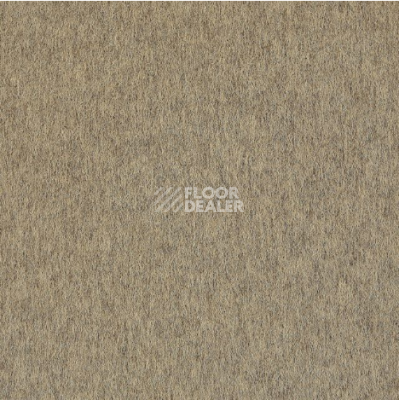 Ковровая плитка Interface Superflor 9194 Berber Beige фото 1 | FLOORDEALER